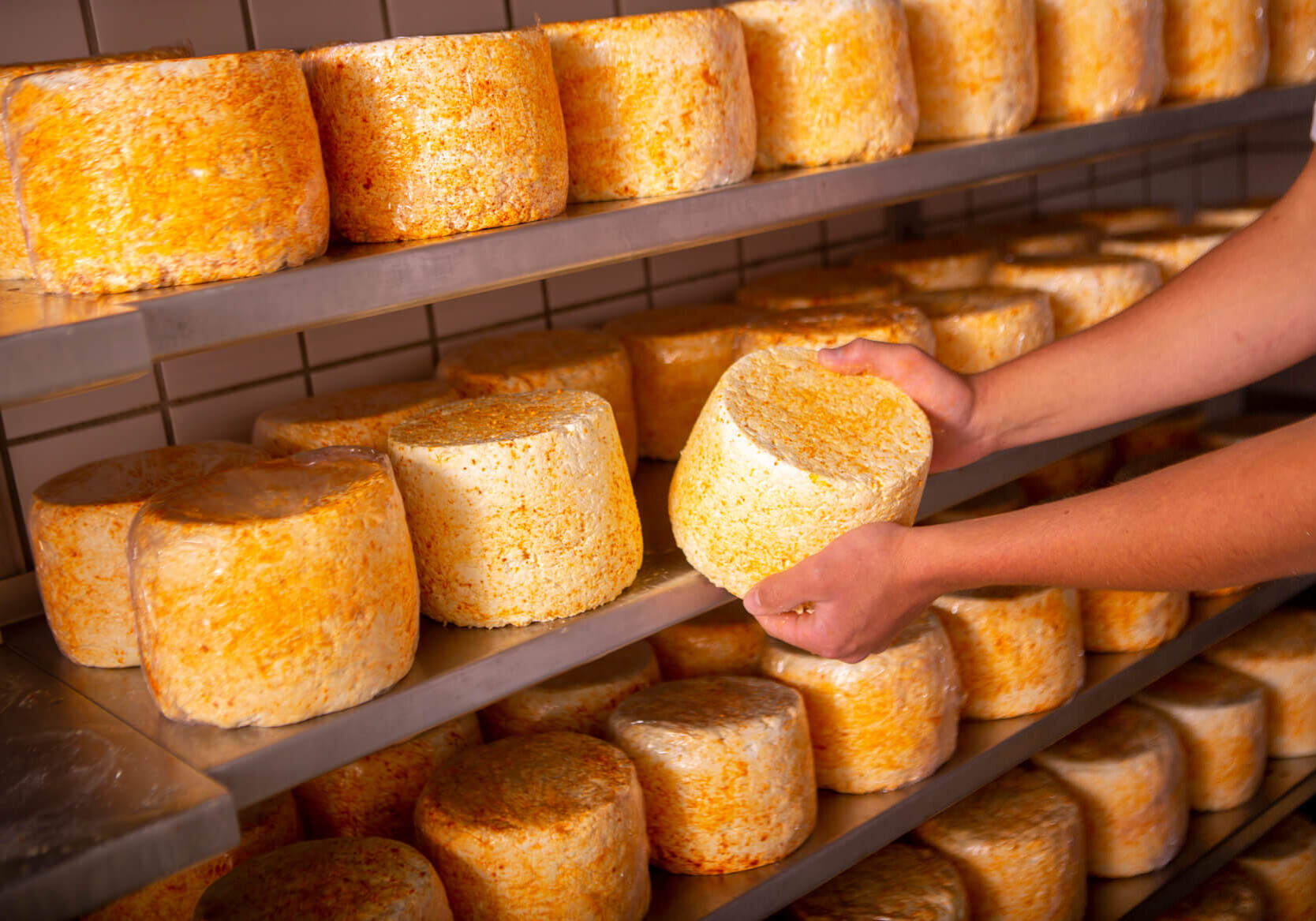 Alpe-Tilisuna-c-Stefan-Kothner-Montafon-Tourismus-GmbH_bewusstmontafon